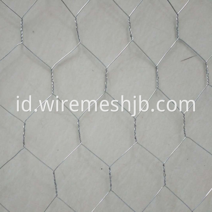 Chicken Wire Mesh